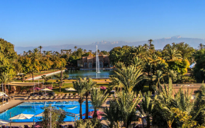 Marrakech Winter Sunshine