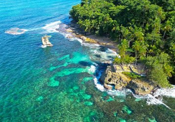 Through Costa Ricas Wild Heart