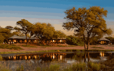 Luxury Safari Adventure In Africa!