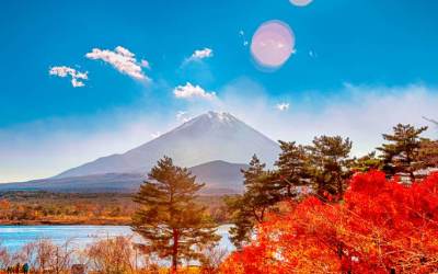 Autumn Colours of the Rising Sun