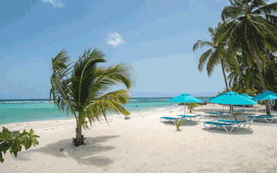 Barbados - The Sands Barbados