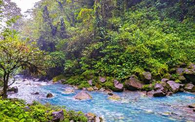 Bridge of the World: An Expedition from the Panama Canal to Costa Rica's Wild Heart