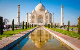 Call of the Wild and Romantic Taj Mahal