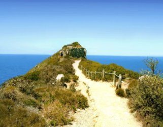 Cape Town Charm to Garden Route Wildlife