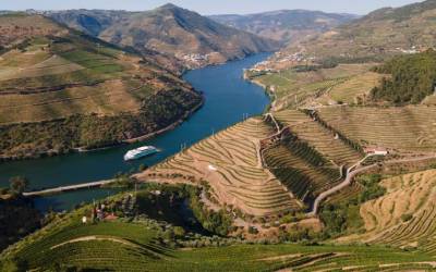 Douro Discovery