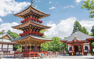 Japan on a budget - Autumn Special Tour