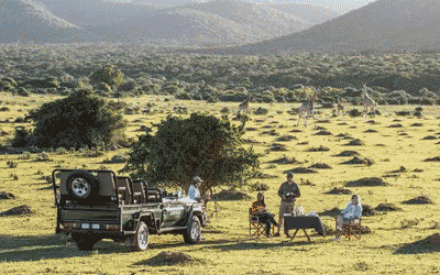 South Africa - Kariega Honeymoon Settlers Drift Safari
