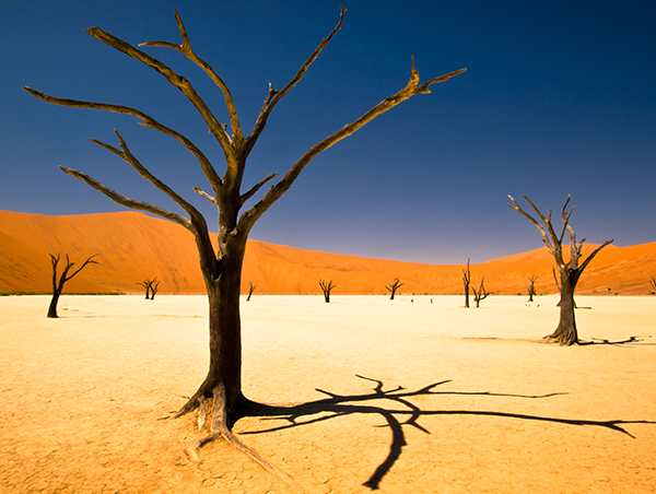 Namibia3.jpg