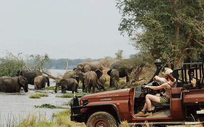 South Luangwa & Lower Zambezi Safari - Zambia