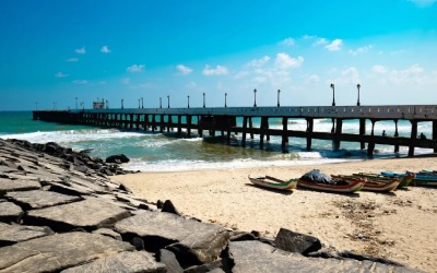 Southern India, A Culinary Journey