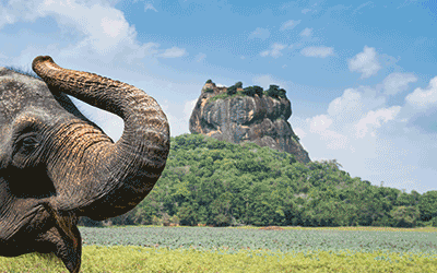 Sri Lanka Culture, Nature, Wildlife & Beach