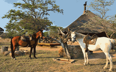 Horse Riding & Safari Experience