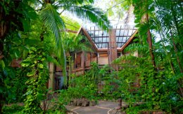 Pura Vida Costa Rica: Adventure & Beach Escape