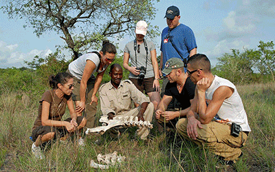 Travelpack Nkambeni Guided Group Safari