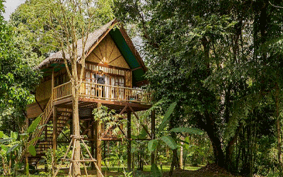Treehouse Stay with activities plus Phuket Beach
