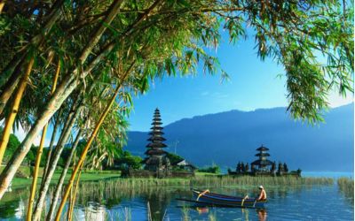Tropical Wonders of Southeast Asia