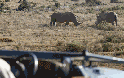 Wonders Of South Africa 2026 Wonders Of South Africa 2026