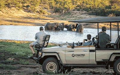 Cape Town, Stellenbosch & Big 5 Kruger safari Cape Town, Stellenbosch & Big 5 Kruger safari