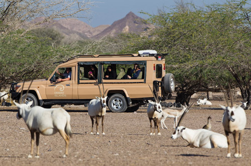 abu-dhabi-safari.jpg