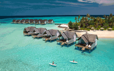 Discover Paradise at Fushifaru Maldives