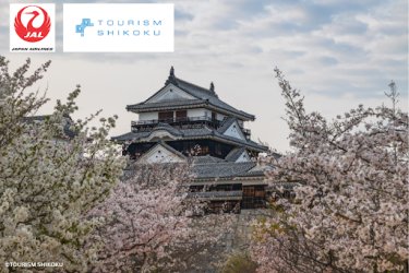 Japan Cultural Explorer