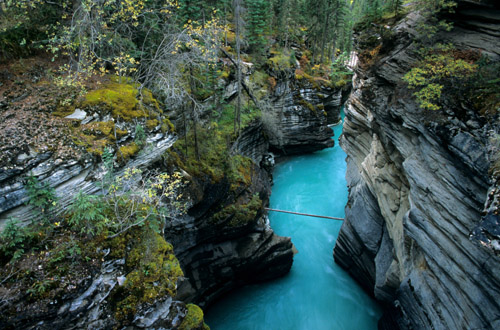 jasper-athabasca-river.jpg