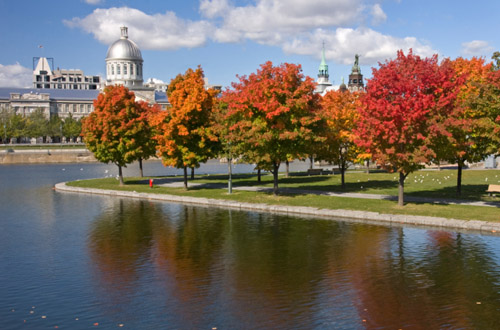 montreal-bonsecours-basin.jpg