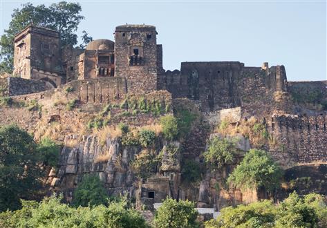 Kumaon And The Corbett Country ranthambore_park_52 (Custom).jpg