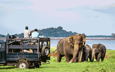 Stunning Sri Lanka!