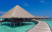 A-MONTH-IN-THE-MALDIVES_pk34209_1.jpg