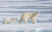 Beyond-the-Arctic-Circle_pk35937_1.jpg