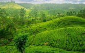 Pearl-of-the-Indian-Ocean_pk34112_1.jpg