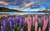 The-Bucket-List-San-Francisco-New-Zealand-Trip_pk34204_1.jpg