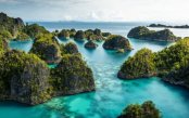 The Ultimate Coral Discovery: Raja Ampat & Beyond The-Ultimate-Coral-Discovery-Raja-Ampat-Beyond_pk34705_1.jpg