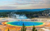 USA-Yellowstone-Wild-Drive-33937-_pk33937_1.jpg